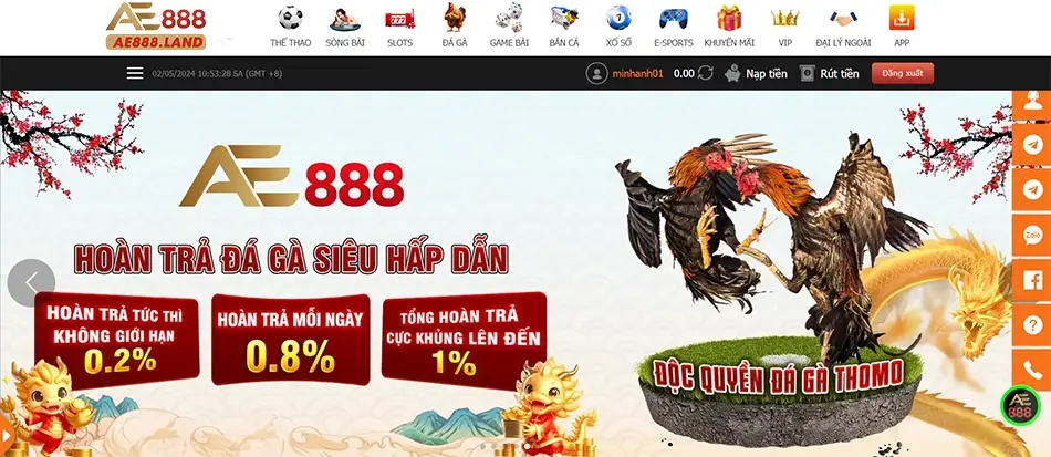 AE888 - TRANG CHÍNH THỨC VÀO CHƠI ĐÁ GÀ THOMO 16 Đá Gà AE888 – Sân Chơi Đỉnh Cao Cho Giới Mê Gà Chọi