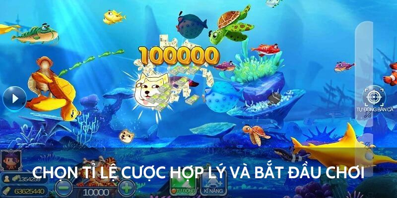 Chọn tỉ lệ cược hợp lý và bắt đầu chơi