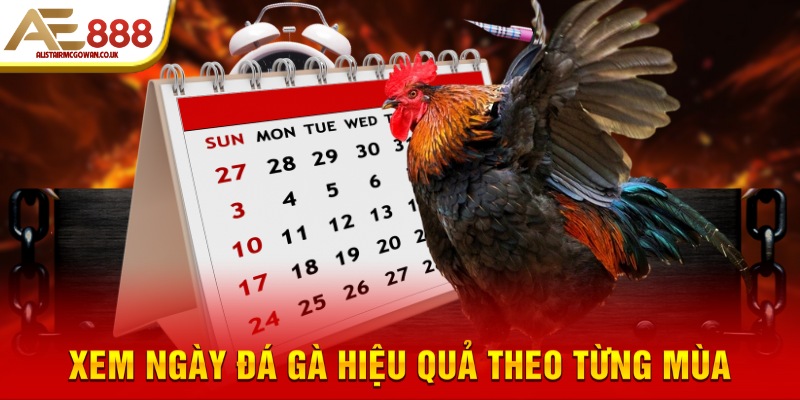 Cách Xem Ngày Đá Gà Hiệu Quả Theo Ngũ Hành – Bí Kíp Chọn Ngày Tốt Cho Chiến Kê 5 Xem Ngày Đá Gà Theo 4 Mùa Trong Năm Áp Dụng Như Thế Nào?
