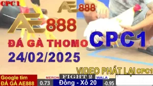 Đá Gà Trực Tiếp Thomo CPC1 ngày 24/2/2025