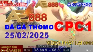 [C1] Video Phát Lại Đá Gà CPC1 ngày 25/2/2025