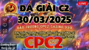 [ĐÁ GIẢI CPC2] Xem lại Video Gà Đá Giải C2 ngày 30/3/2025
