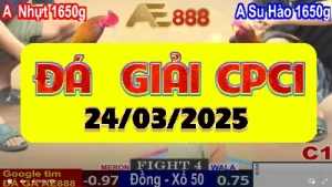 ĐÁ GIẢI C1 GÀ TRE THOMO 24/03/2025