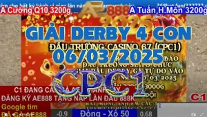[ĐÁ GIẢI C1] Đá Gà Thomo CPC1 ngày 6/3/2025