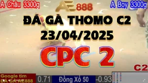 Video Đá Gà Thomo C2 Ngày 23/04/2025