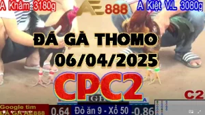 [CPC2] CLIP Đá Gà Trực Tiếp từ C2 ngày 06/04/2025