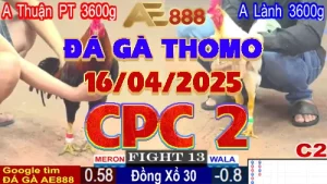Phát lại Video Đá gà trực tiếp CPC2 ngày 16/4/2025