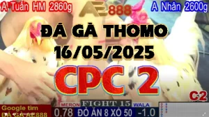 Video Phát lại Đá Gà Thomo CPC2 Ngày 16/05/2025