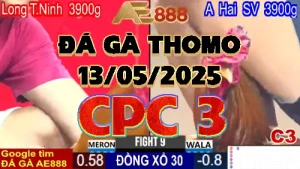 Video Đá Gà Thomo C3 ngày 13/05/2025