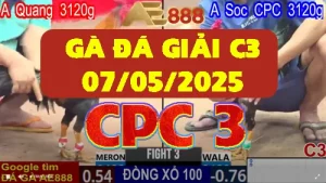 Clip GÀ ĐÁ GIẢI C3 ngày 07-05-2025