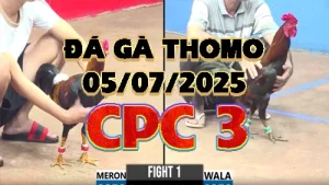 Video phát lại đá gà trực tiếp CPC3 ngày 05/07/2025