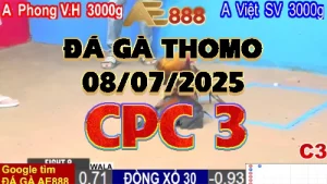 Video phát lại đá gà trực tiếp CPC3 ngày 08/07/2025