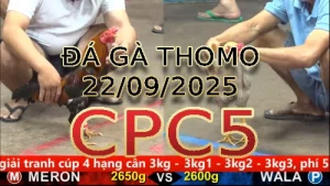 Video phát lại đá gà trực tiếp CPC5 ngày /09/2025