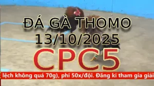 Video phát lại đá gà trực tiếp CPC5 ngày 13/10/2025