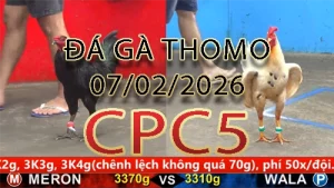 Video phát lại đá gà trực tiếp CPC5 ngày 07022026