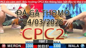 Video phát lại đá gà trực tiếp CPC2 ngày 04032026