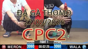 Video phát lại đá gà trực tiếp CPC2 ngày 27092026