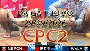 Video phát lại đá gà trực tiếp CPC2 ngày 29092026