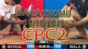 Video phát lại đá gà trực tiếp CPC2 ngày 10102026