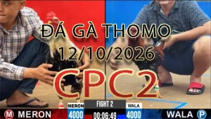 Video phát lại đá gà trực tiếp CPC2 ngày 12102026